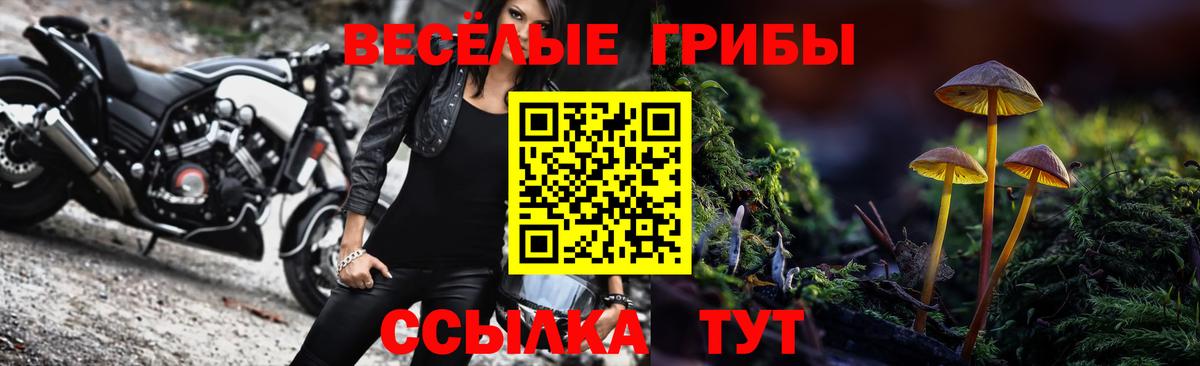 Галлюциногенные грибы Psilocybe Сочи